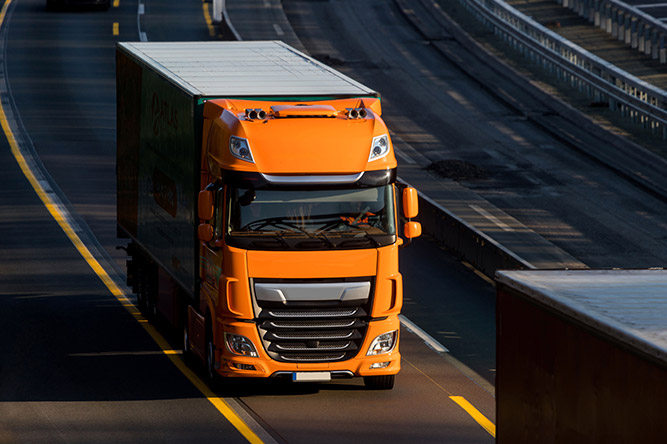 Avusturya Mobilya Taşıma